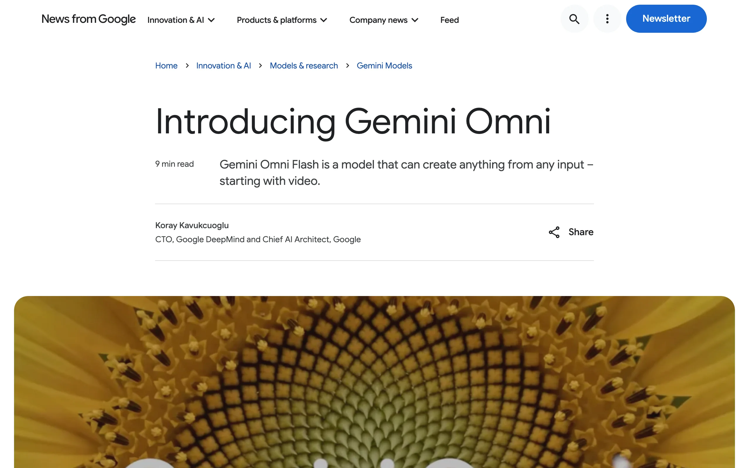 Gemini Omni Flash – Google's Multimodal Video Generation Model official screenshot