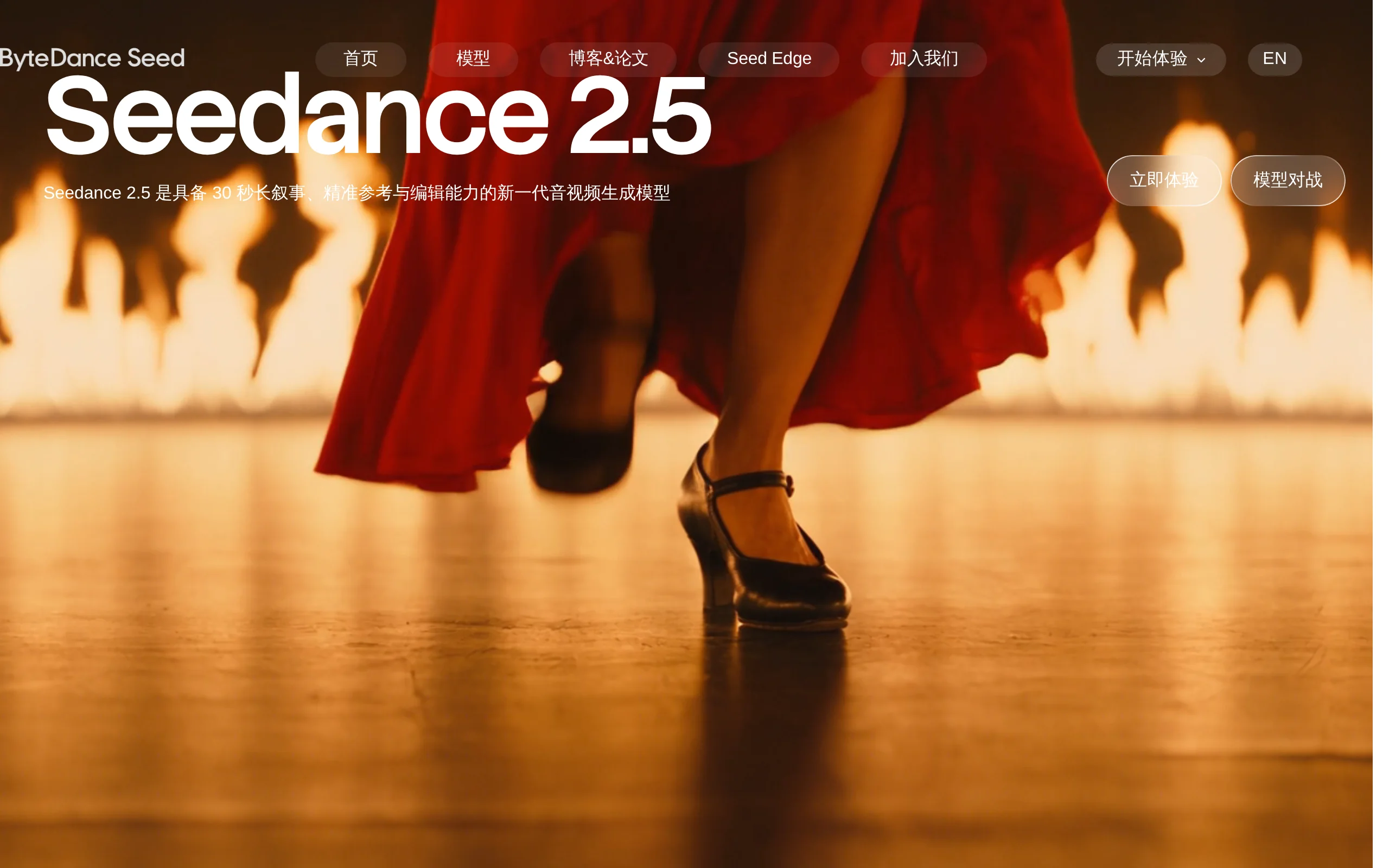 Review of Seedance 2.5 4K: Volcano Engine Enters the High-End Video Generation Market with 4K and 10-bit Color Depth official screenshot